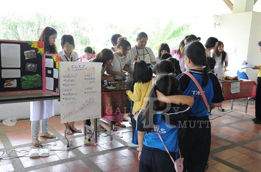 DSC_0041 - Copy (2).JPG